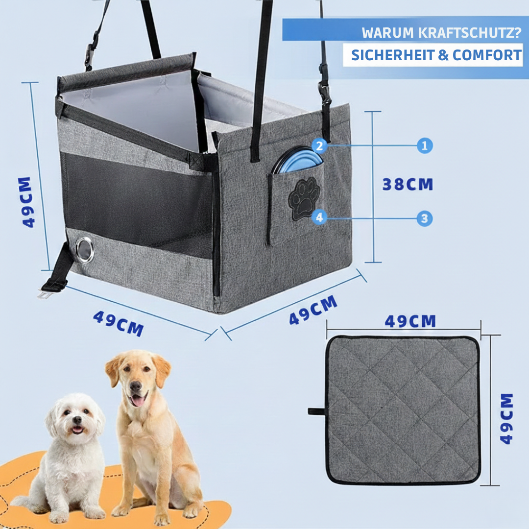 Rücksitz-Box für kleinere Hunde