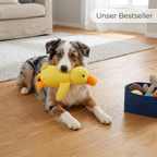 SinnesEnte™ – Beruhigt deinen Hund auf natürliche Weise