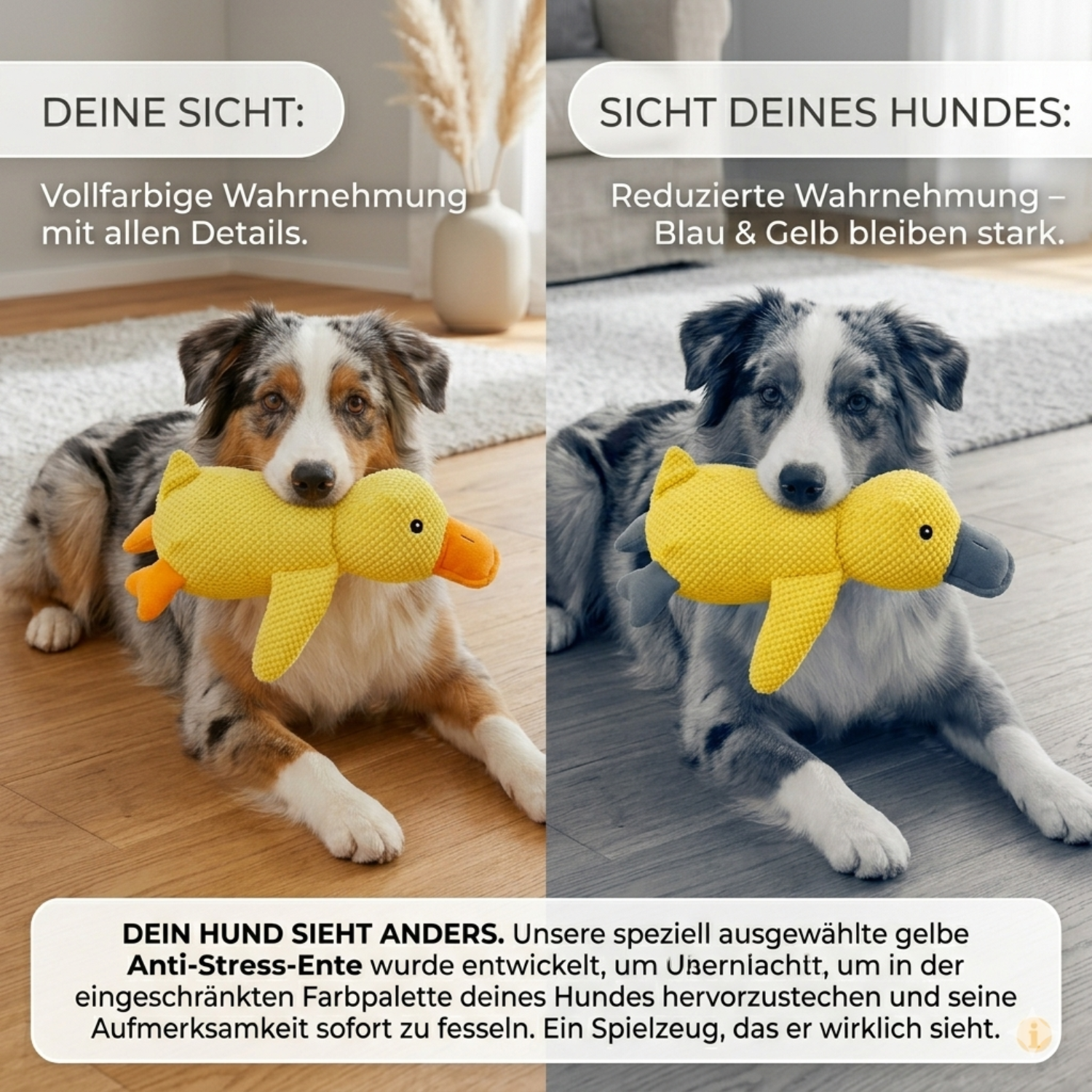 SinnesEnte™ – Beruhigt deinen Hund auf natürliche Weise