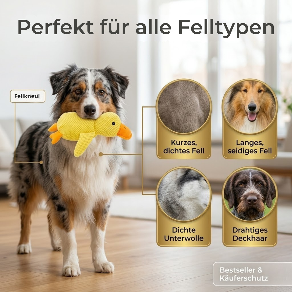 FellFrieden™ – Sauberes Zuhause. Entspannte Fellpflege.
