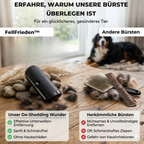 FellFrieden™ – Sauberes Zuhause. Entspannte Fellpflege.