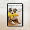 Auszeit-Rezepte™ E-Book
