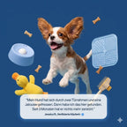 AuszeitNapf™ – Die Pause für dich. Entspannung für deinen Hund.